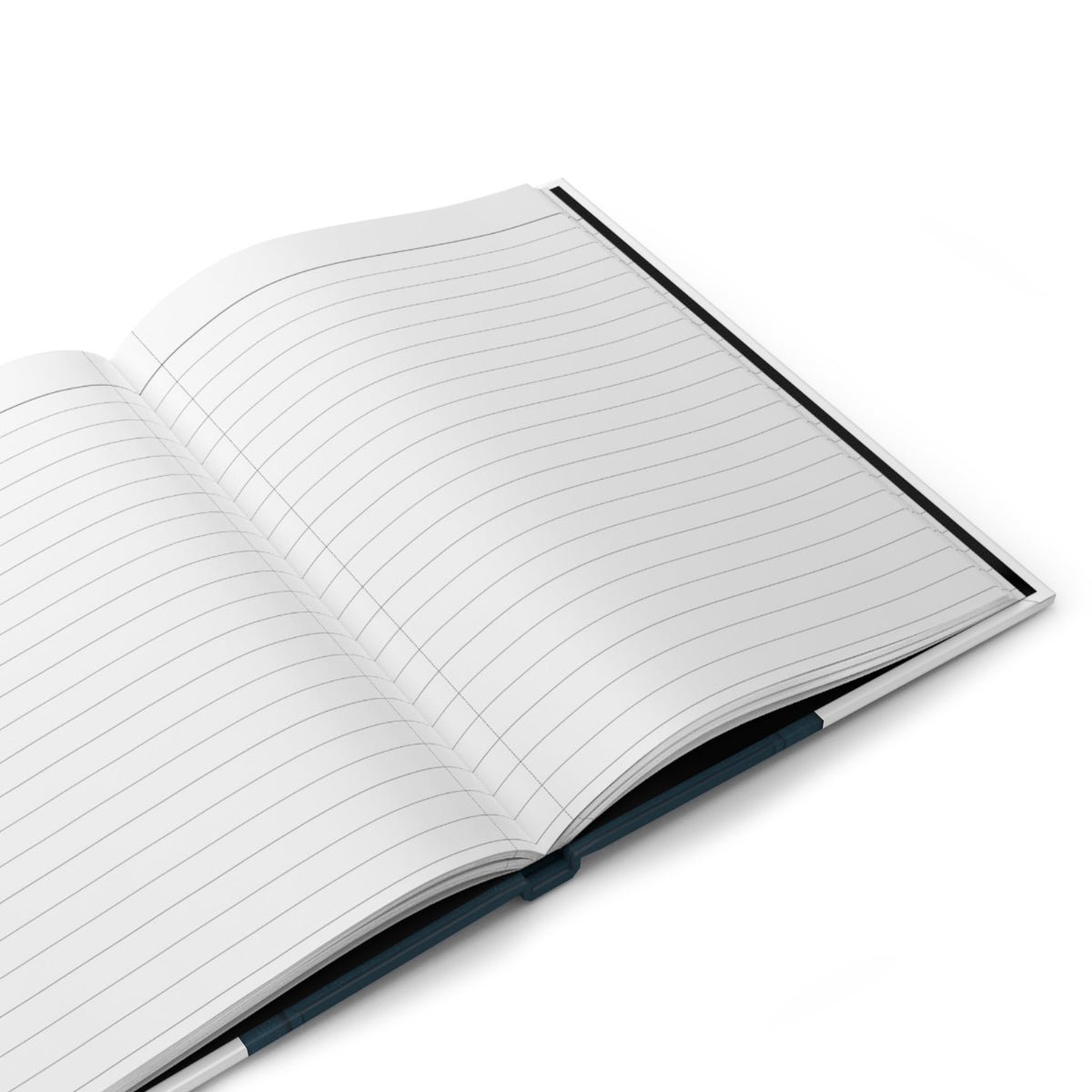 Just for Today Morning Journal
